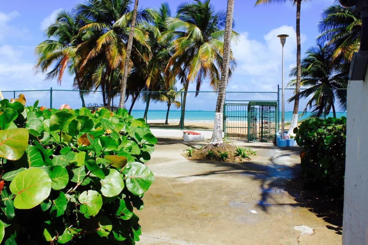 2Br Gem Ocean Front Building Isla Verde Beach San Juan Dış mekan fotoğraf